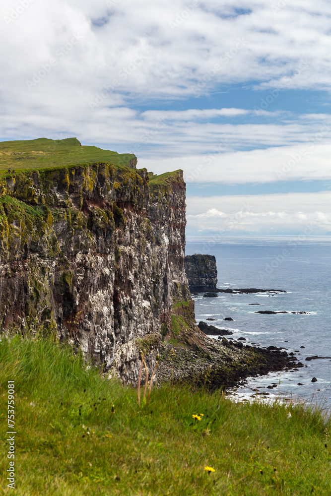 panoramic look over the steep cliffs to the coastline at puffin island, Iceland 