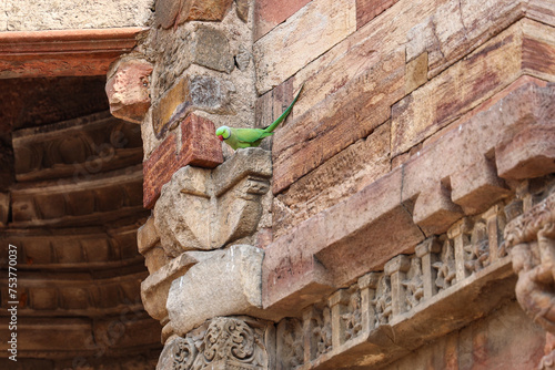 Delhi's famous QUTUB MINAR photo