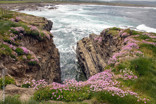 Downpatrick head, Mayo, Ireland. June 2023