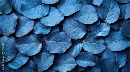 a close up of a bunch of blue leaves with a lot of green leaves in the middle of the picture. photo