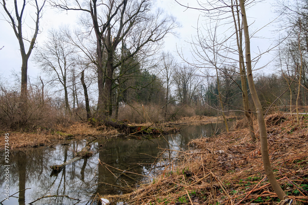 the renaturalised course of the Wertach river on a cloudy day in the Göggingen district of Augsburg the renaturalised course of the Wertach river on a cloudy day in the Göggingen district of Augsburg