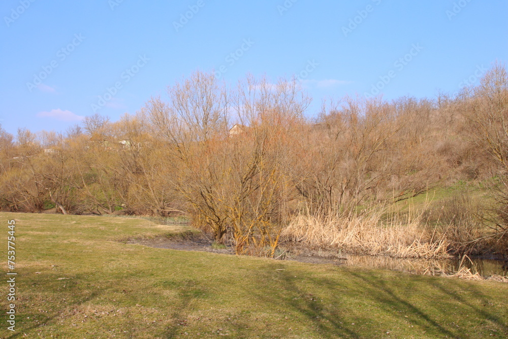 A field with trees and grass A field with trees and grass