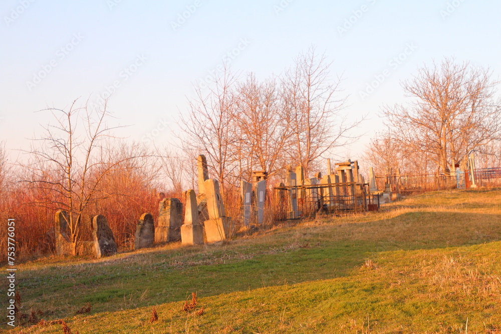 A cemetery with trees and grass