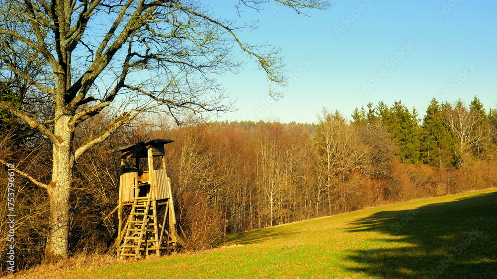 Obraz premium malerischer Hochsitz unter Baum auf grüner sonniger Wiese im Schwarzwald unter blauem Himmel