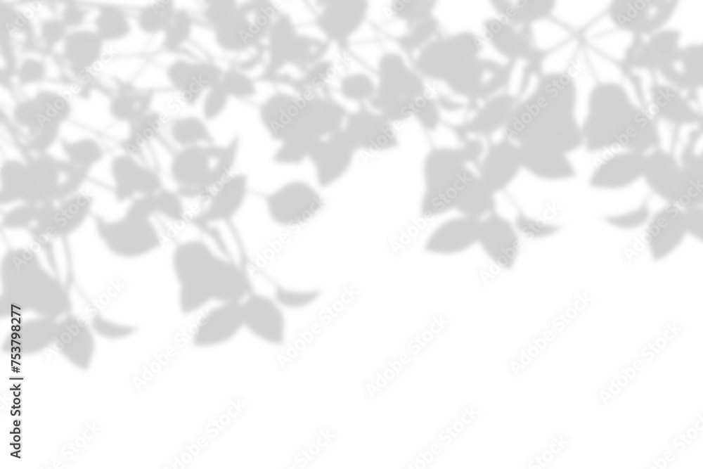 Realistic shadow of leaves isolated on transparent background.Overlay effect of leaf shadow silhouette. Tree branch shadow on white. PNG Realistic shadow of leaves isolated on transparent background.Overlay effect of leaf shadow silhouette. Tree branch shadow on white. PNG