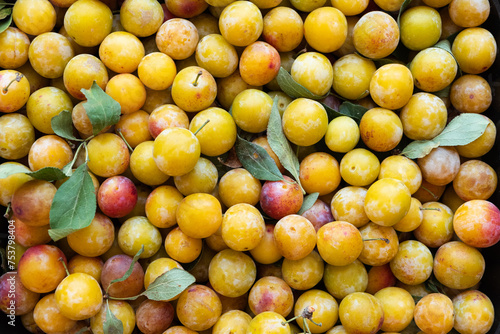 Yellow plums with leaves  photo