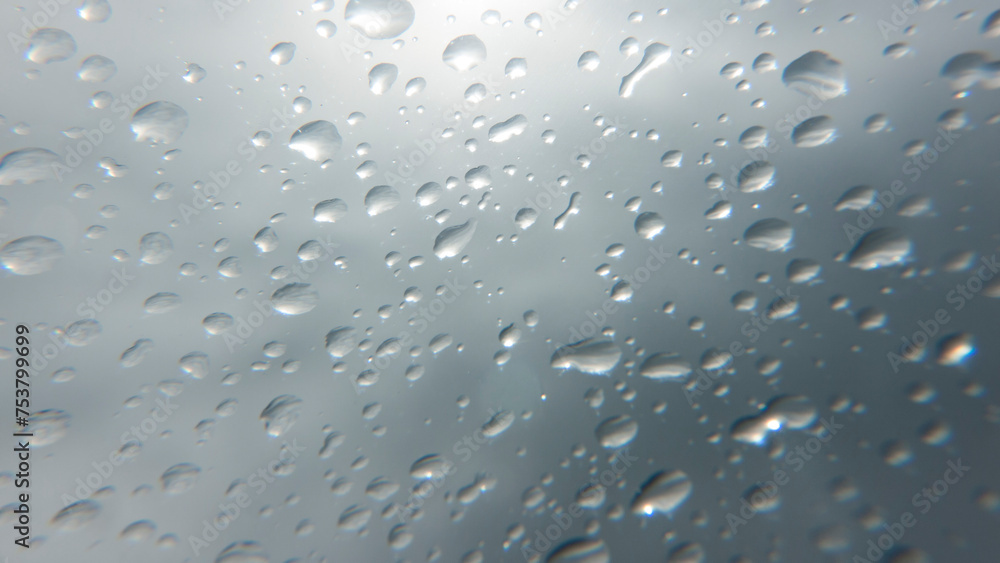 custom made wallpaper toronto digitalGotas de lluvia en ventana de techo