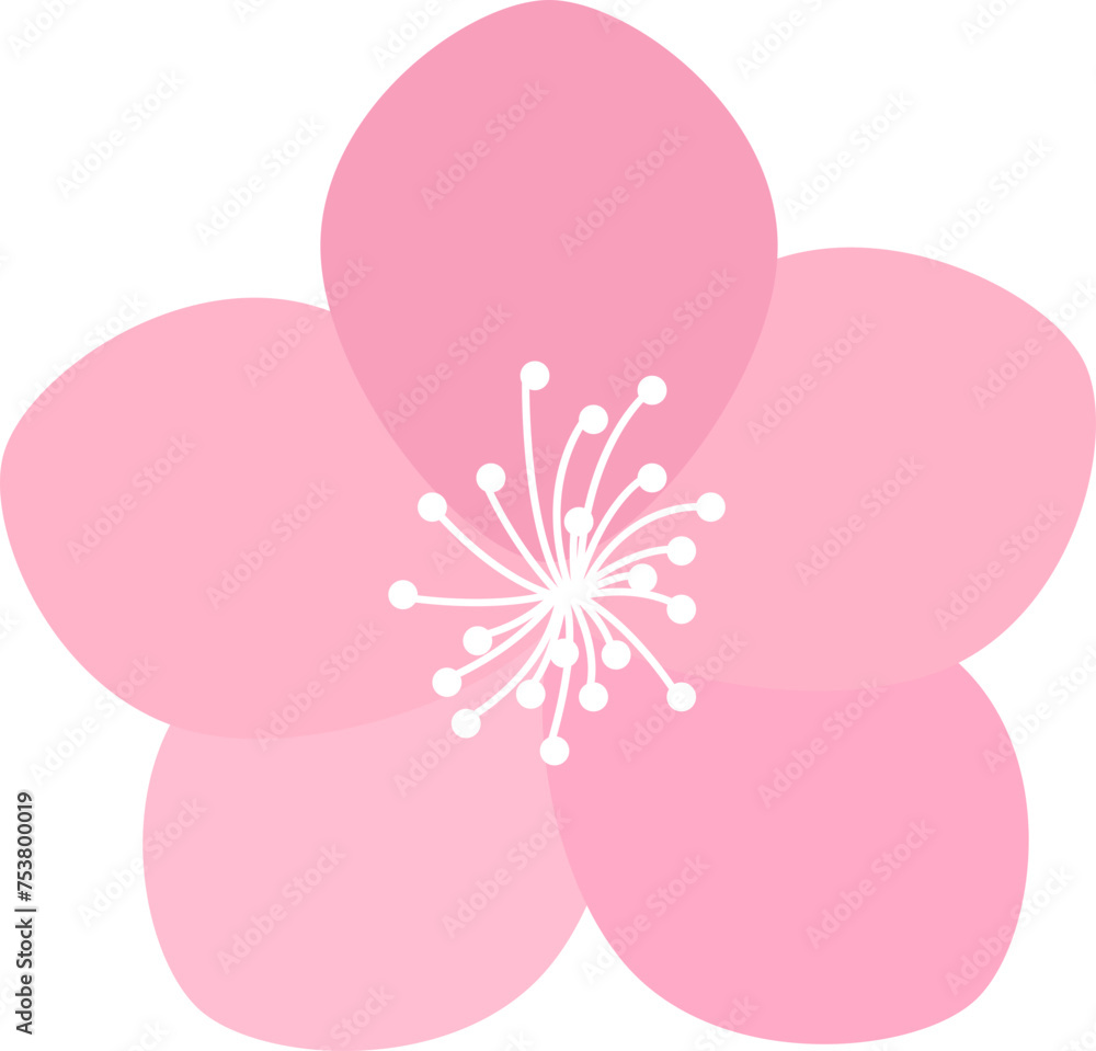 Vector icon of cherry blossoms.
