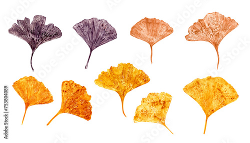 Design modern leaf imprint of biloba. Leaves in golden, brown colors. Gingko leaf. Ginkgo, palm, dry abstract fan leaves. Watercolor illustration of leaf silhouettes. For graphic decor, wedding