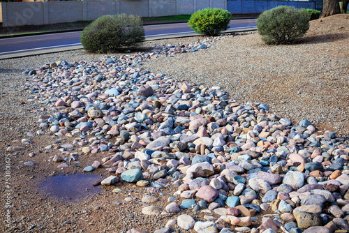 Xeriscaped Street Roadside with Drought-Tolerant Shrubs and River Rocks in Phoenix, AZ photo