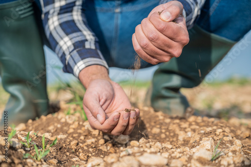 Male hands touching soil on the field. Expert hand of farmer checking soil health before growth a seed of vegetable or plant seedling. Business or ecology concept. High quality photo