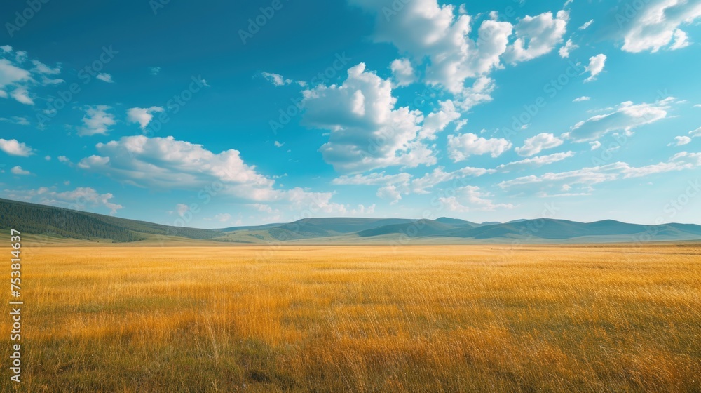 Expansive Grassy Field under a Wide Sky Expansive Grassy Field under a Wide Sky