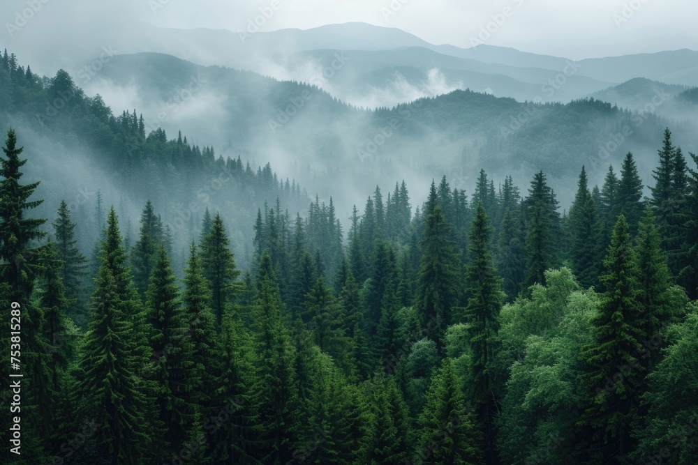 Mystical Foggy Forest at Dawn