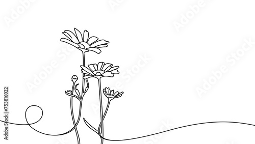Continuous one line drawing of beautiful wild flowers chamomile graphic design. Single line art illustration of nature landscape with beautiful field meadow flowers daisy on transparent background