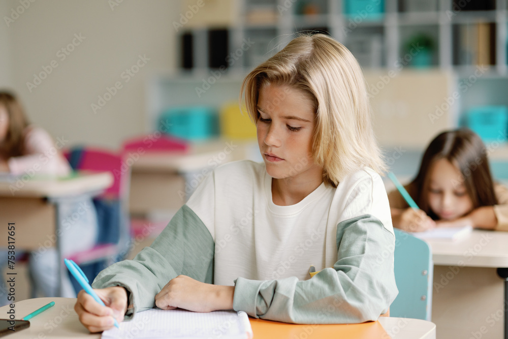 Schoolwork task student knowledge academic dedicated write cognition Schoolwork task student knowledge academic dedicated write cognition