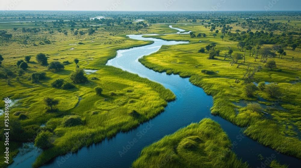 Serpentine River Flowing Through Vibrant Green Savannah