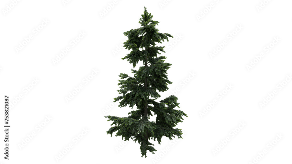 Tree Tree