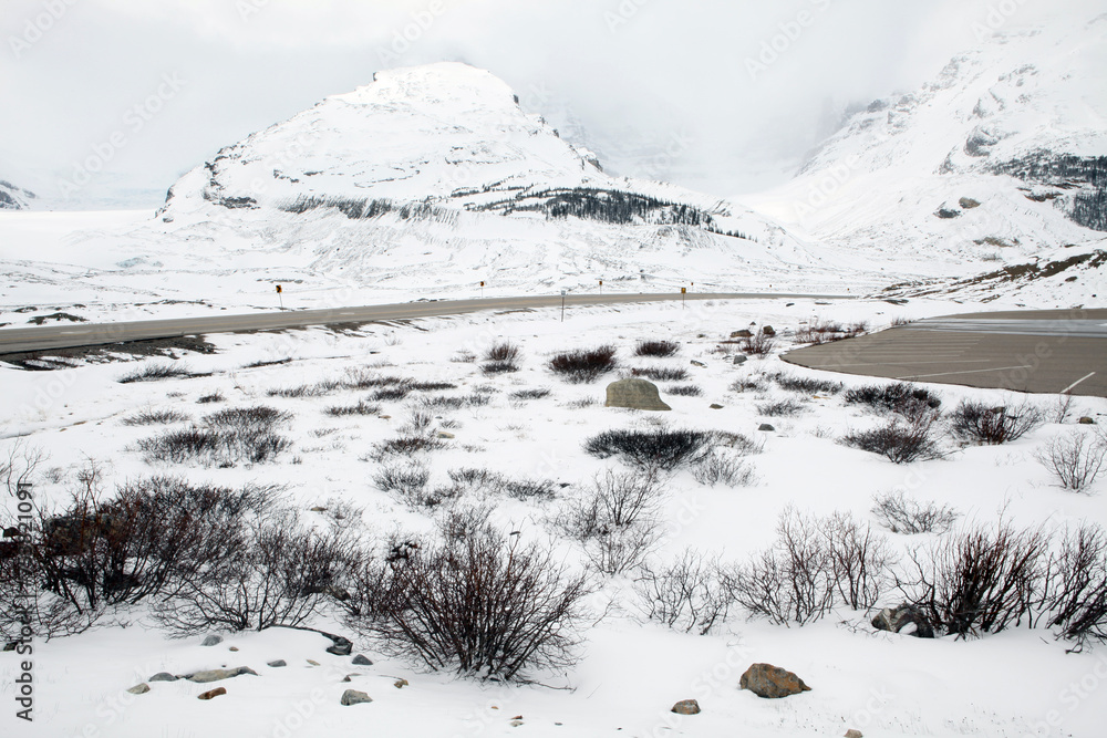 Views surounding the icefield parkway - Columbia icefield - Athabasca glacier - Alberta - Canada