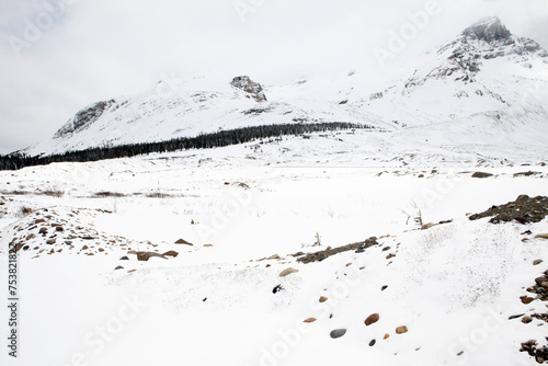 Views surounding the icefield parkway - Columbia icefield - Athabasca glacier - Alberta - Canada photo