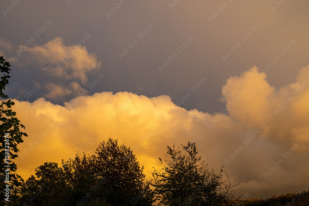 Big cloud in the evening light over green forest Big cloud in the evening light over green forest