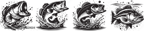 aggressive predatory fish with large mouths leaping above water surface, black vector graphic photo