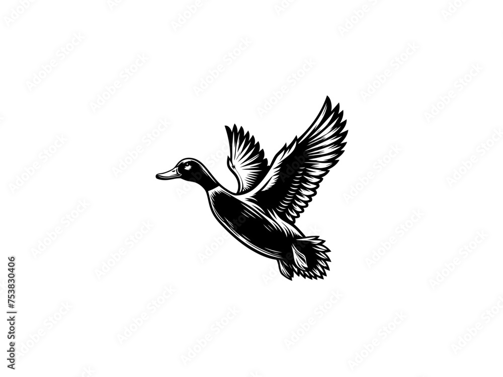 Fototapeta premium Graceful Aquatic Charm: Detailed Duck Vector Art, Infusing Elegance into Your Nature-themed Projects and Home Decor