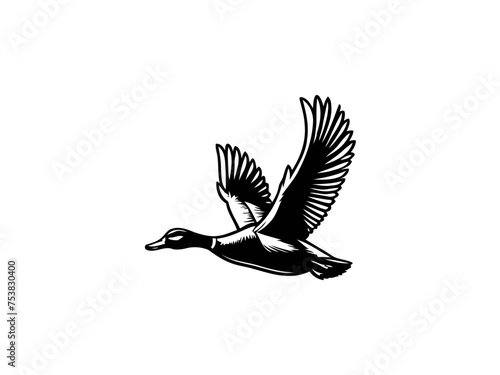 Graceful Aquatic Charm: Detailed Duck Vector Art, Infusing Elegance into Your Nature-themed Projects and Home Decor