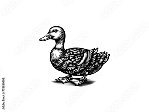 Graceful Aquatic Charm: Detailed Duck Vector Art, Infusing Elegance into Your Nature-themed Projects and Home Decor