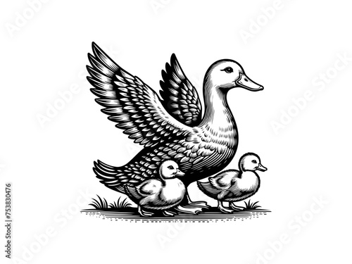 Graceful Aquatic Charm: Detailed Duck Vector Art, Infusing Elegance into Your Nature-themed Projects and Home Decor for a Touch of Serene Beauty