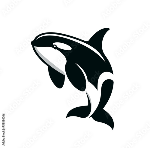 Orca whale monochrome isolated vector illustration