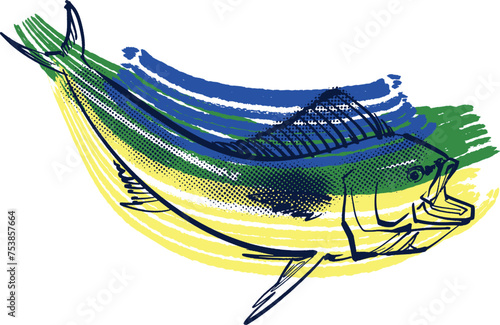 vector illustration of the Mahi-Mahi fish photo
