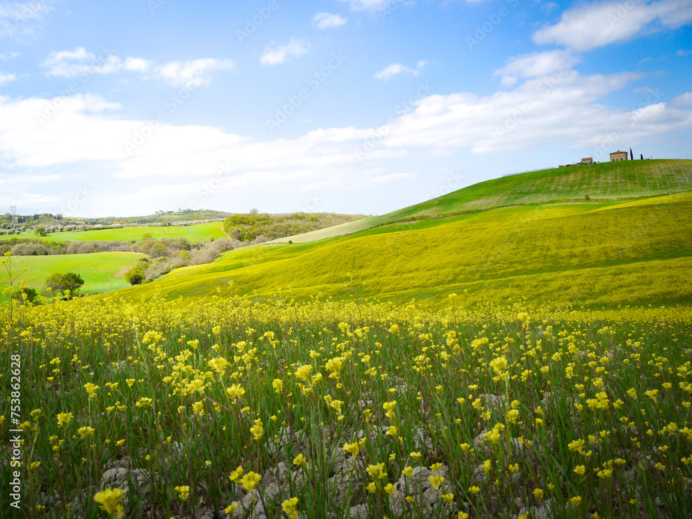 Fototapeta premium Tuscany landscape