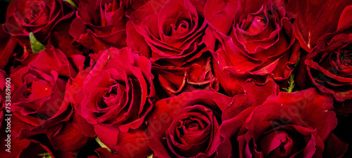 Panel kuchenny z motywem sfd