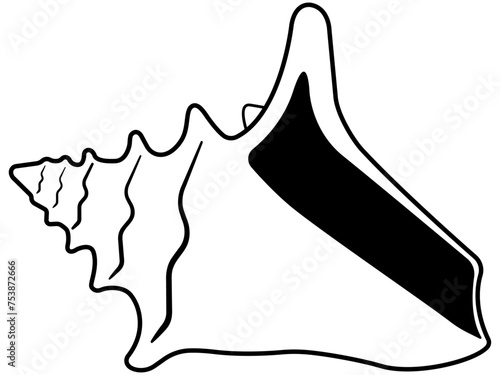 conch shell vector