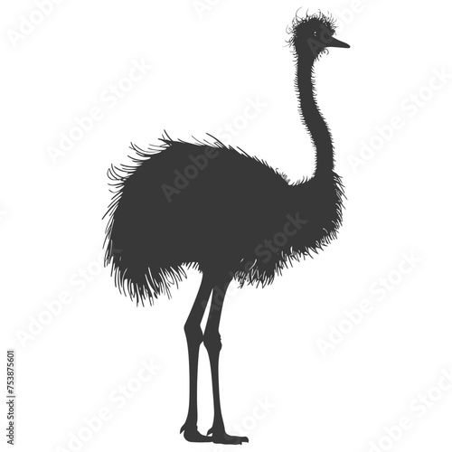 Silhouette ostrich animal black color only full body