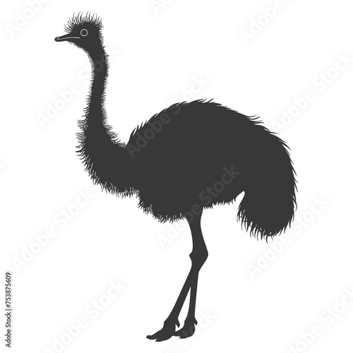 Silhouette ostrich animal black color only full body