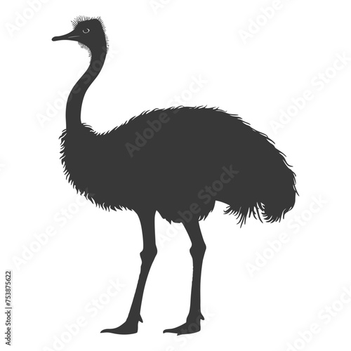 Silhouette ostrich animal black color only full body