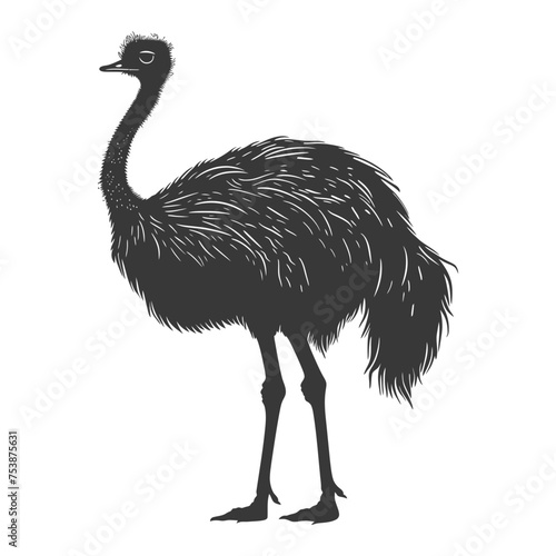 Silhouette ostrich animal black color only full body