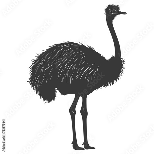 Silhouette ostrich animal black color only full body