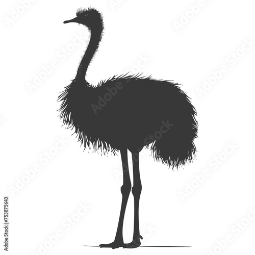 Silhouette ostrich animal black color only full body