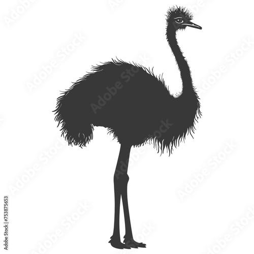 Silhouette ostrich animal black color only full body