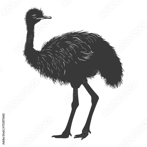 Silhouette ostrich animal black color only full body