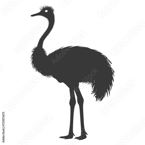Silhouette ostrich animal black color only full body