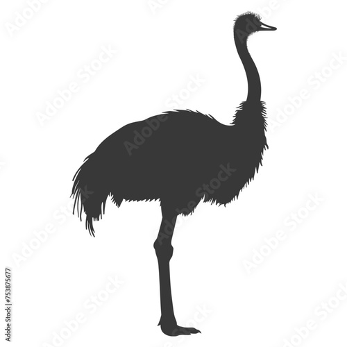 Silhouette ostrich animal black color only full body
