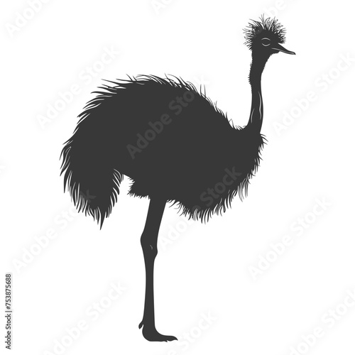 Silhouette ostrich animal black color only full body