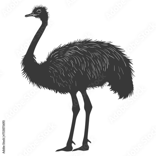 Silhouette ostrich animal black color only full body