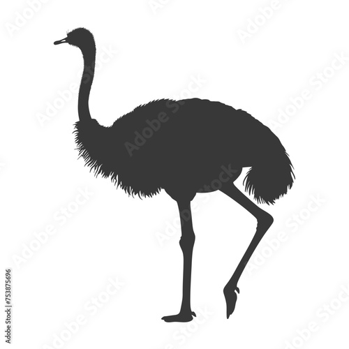 Silhouette ostrich animal black color only full body