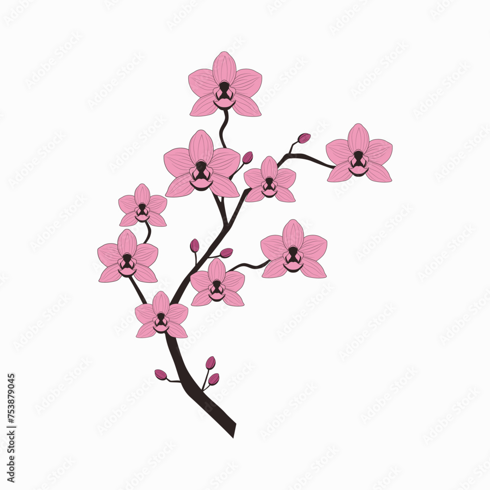 Naklejka premium Beautiful orchid branch with blossoming flowers. Botanical vector illustration