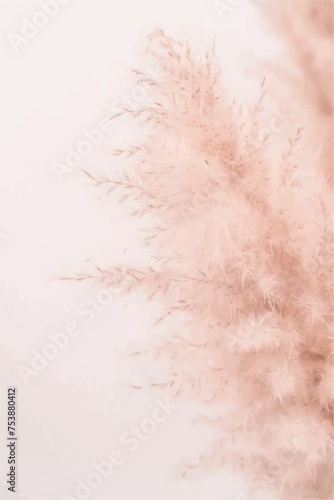 Peach Fuzz Background. Dry pampas grass background. Nature of flower in garden using as background natural flora cover page or banner template brochure landing page design