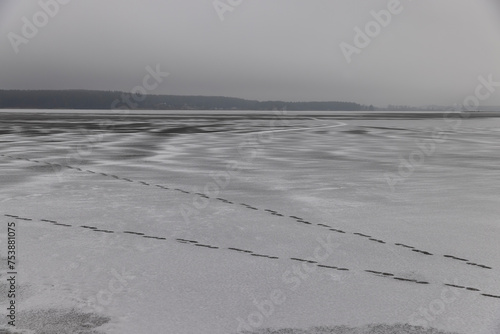 frozen lake in winter in cloudy weather, ice on the lake ts